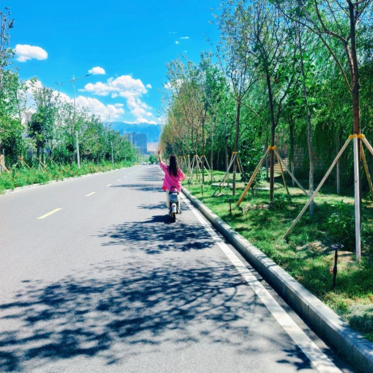 姐， 不是没人爱