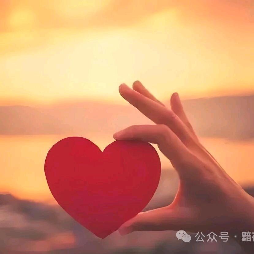 🍁音乐🌳之谜🍁