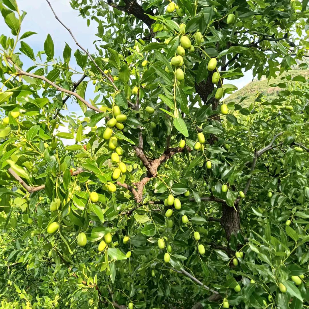 麦尼优品生活坊