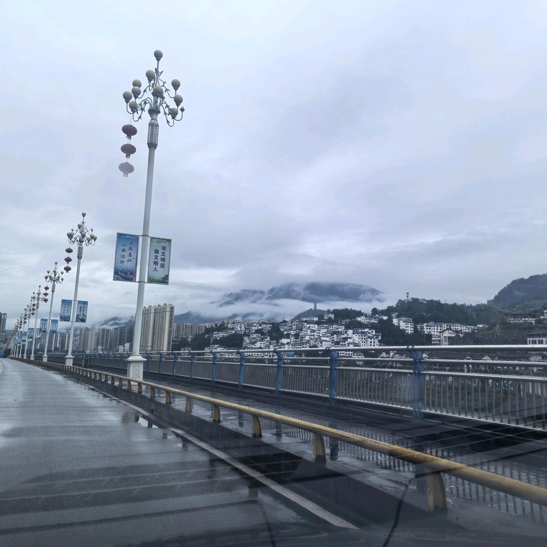 沛森菌业