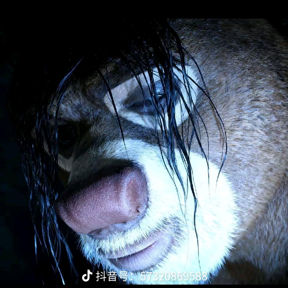 动点
