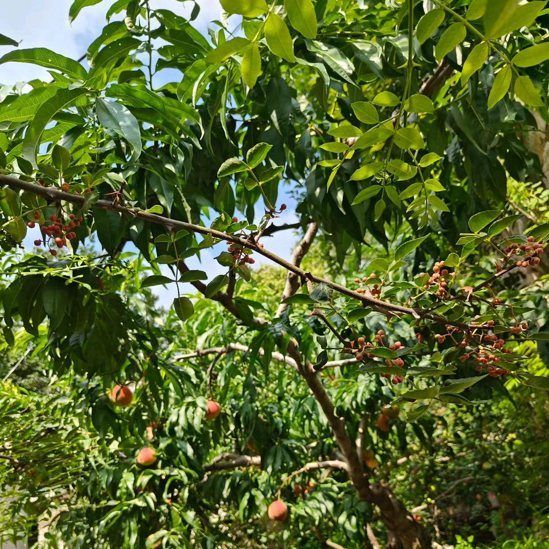七零后带娃姥姥