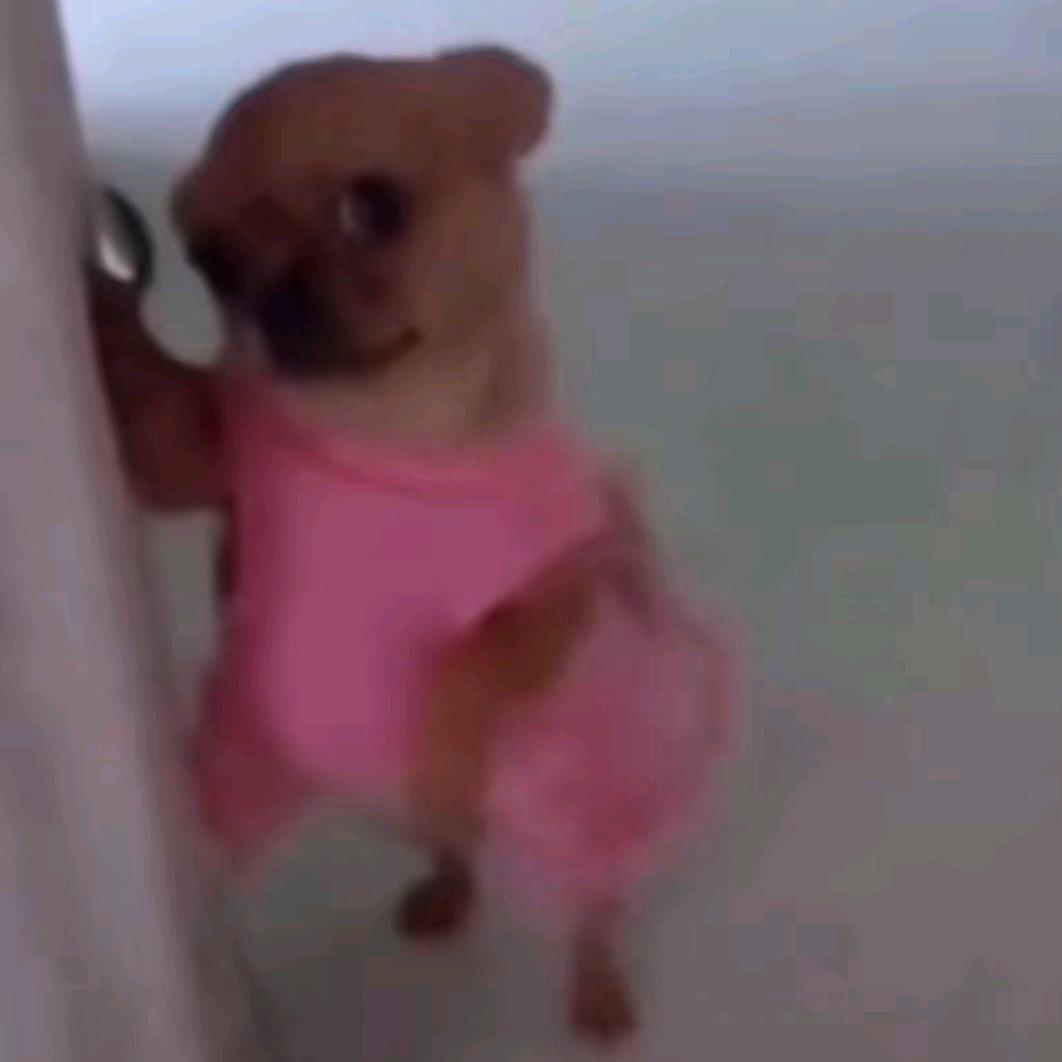 纯情小妈