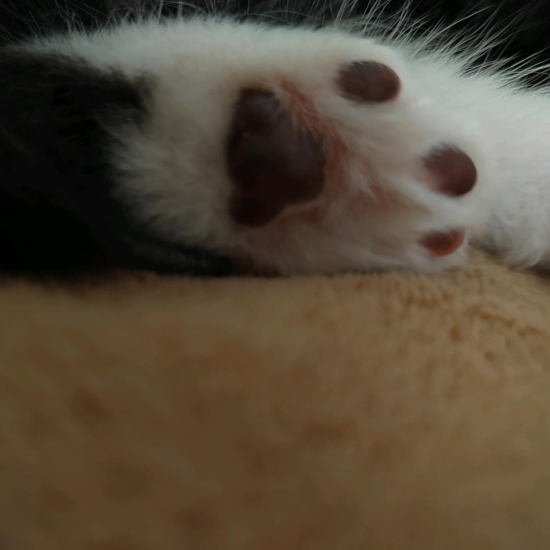 澜雪嫣然💤