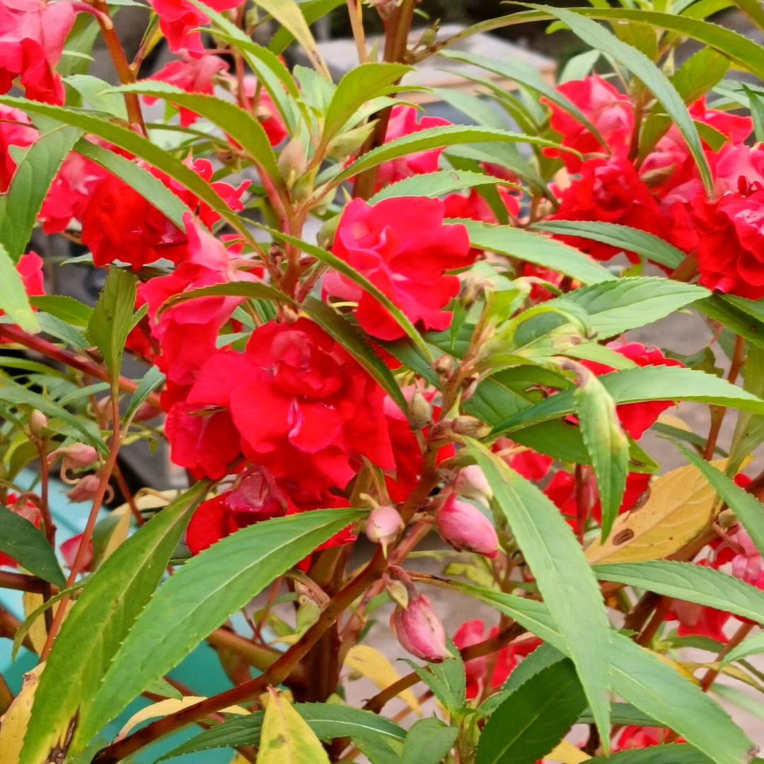 改变不了别人那就改变自己