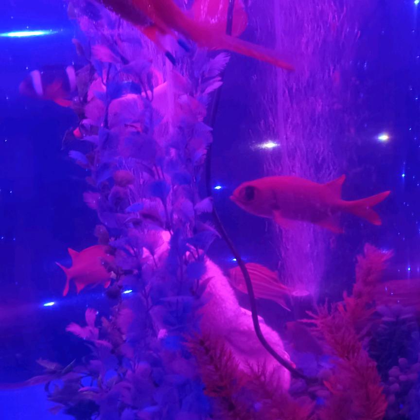 来.给姐笑一个ƪ(˘⌣˘)ʃ优雅