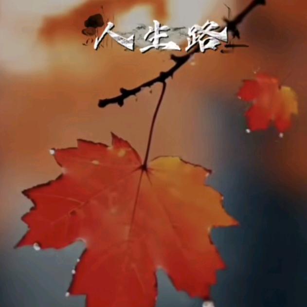 我用一生陪伴妳