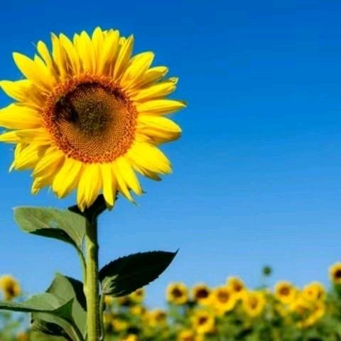 我用我的味，来养你的胃。