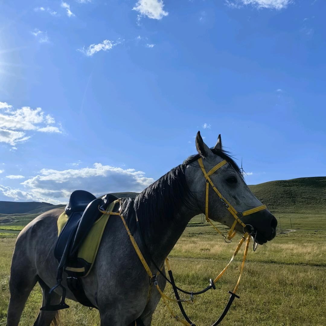 Li 玖柒「横木Live House」