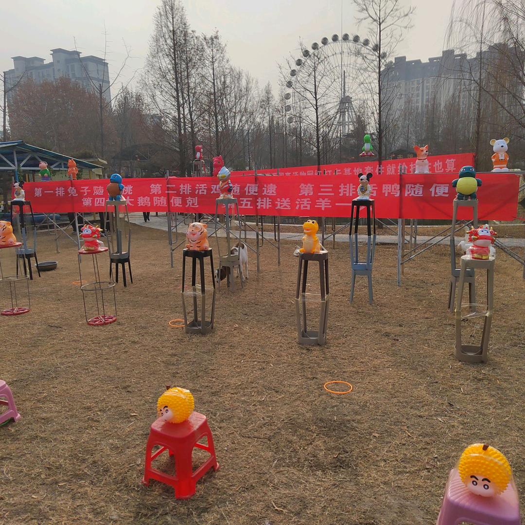 小张套圈
