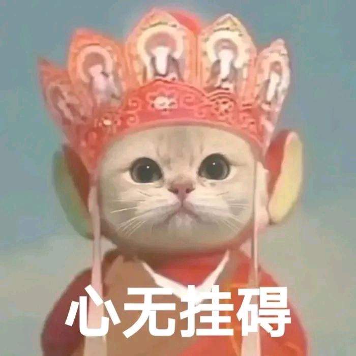 三藏耍猴a