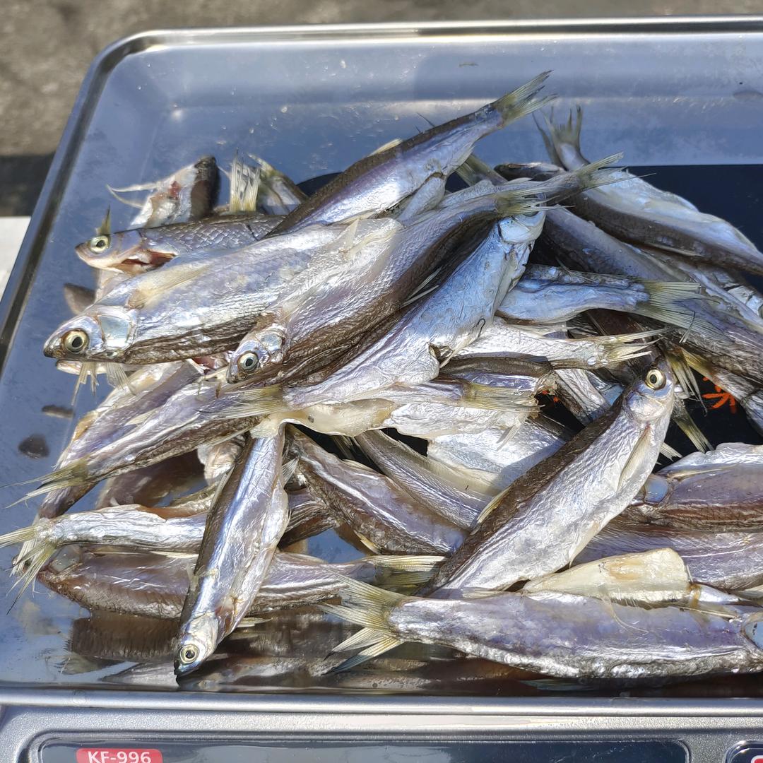 乡邻农副产品店