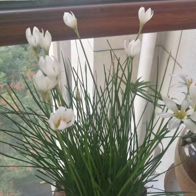 不在意别人怎么想我