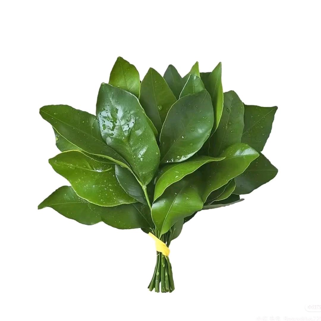 三个达不溜