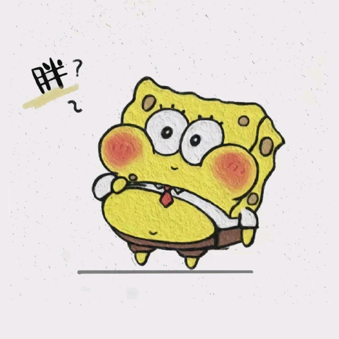 不爱吃鱼的兔子🐰