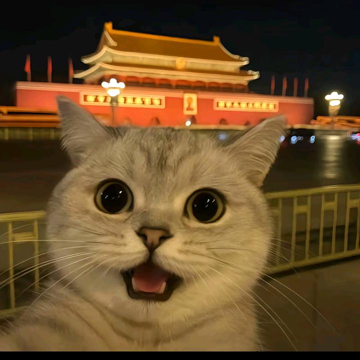 有梦想的闲鱼
