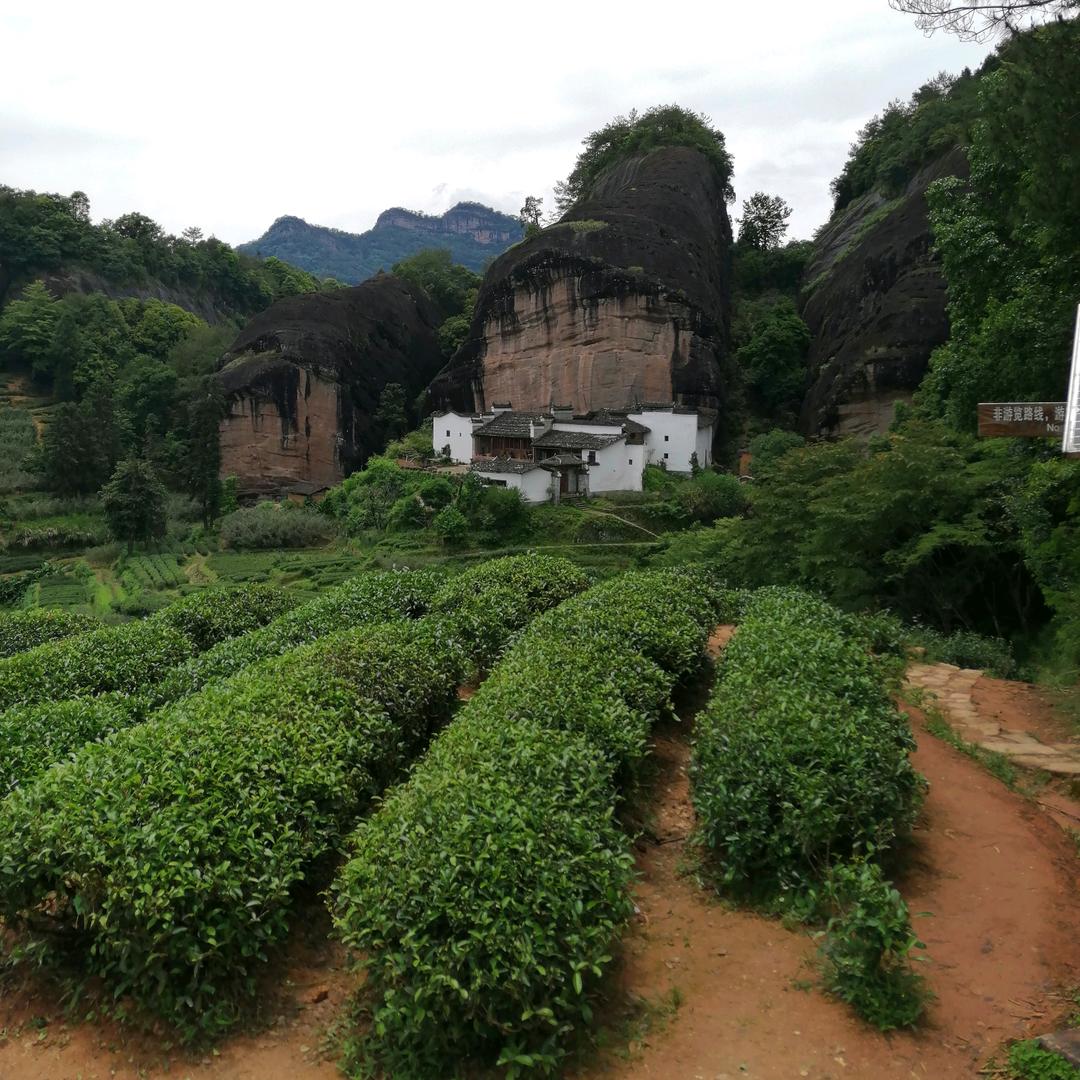 用户______杠精