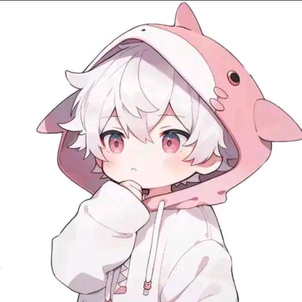 小鲨鱼头