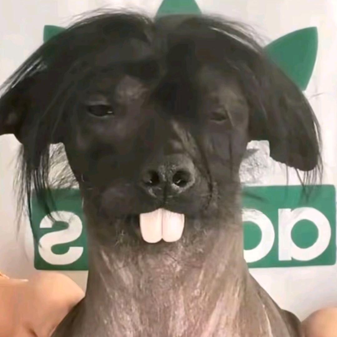 开摆超人