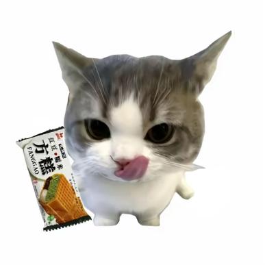 方糕爱跑步