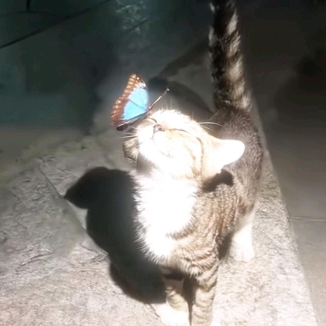 ☃
