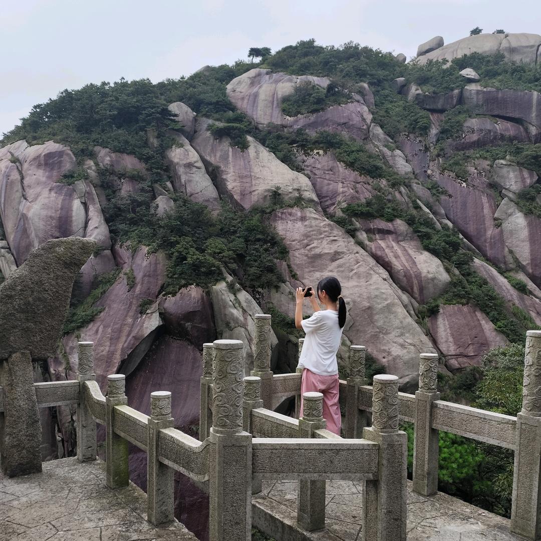 三农小杨