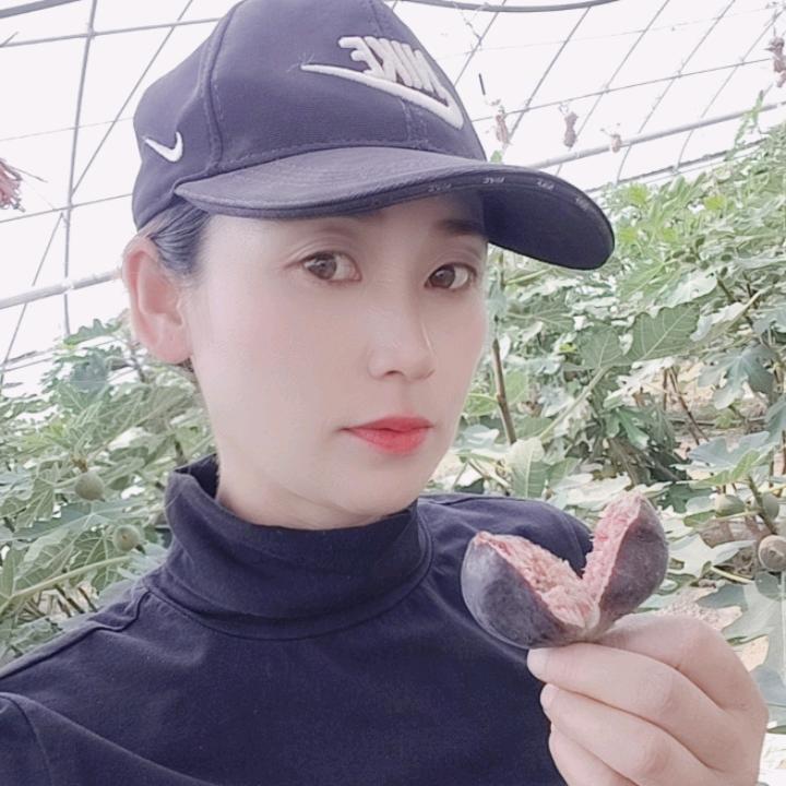 鑫满园无花果草莓采摘园