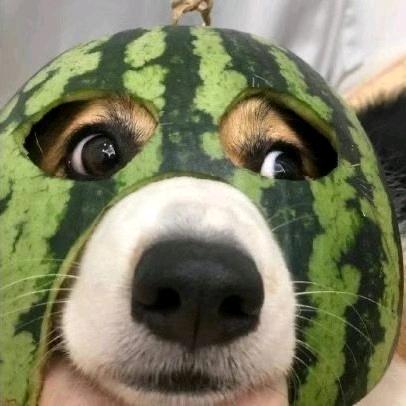 神秘的鸡蛋黄