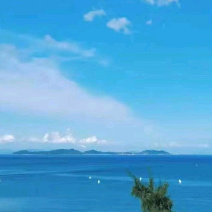 单枪匹马闯天涯