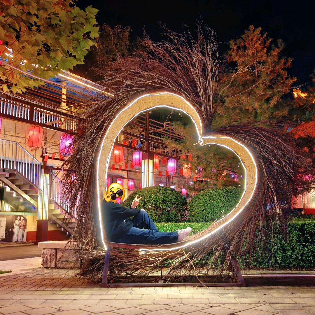 💗胖❤️小猪🐷