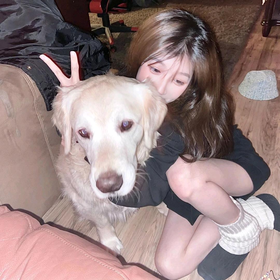 至尊绝世霹雳少爷