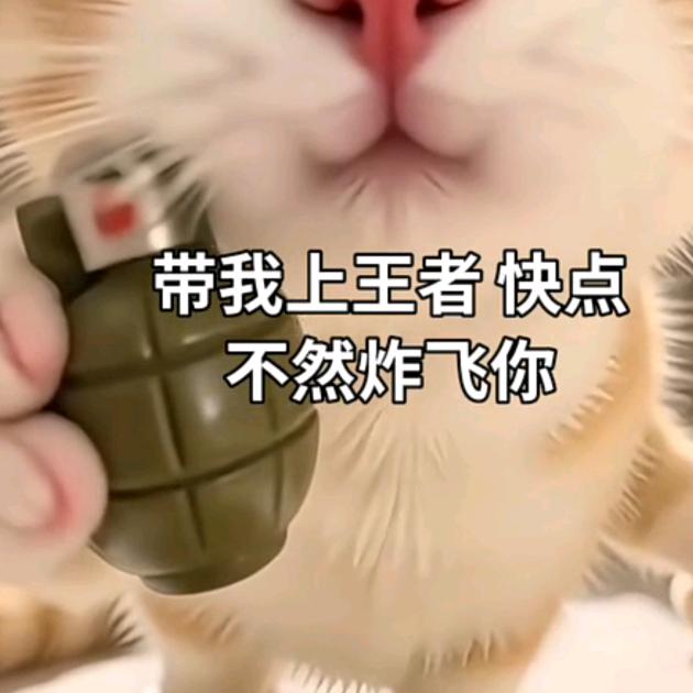 卡卡