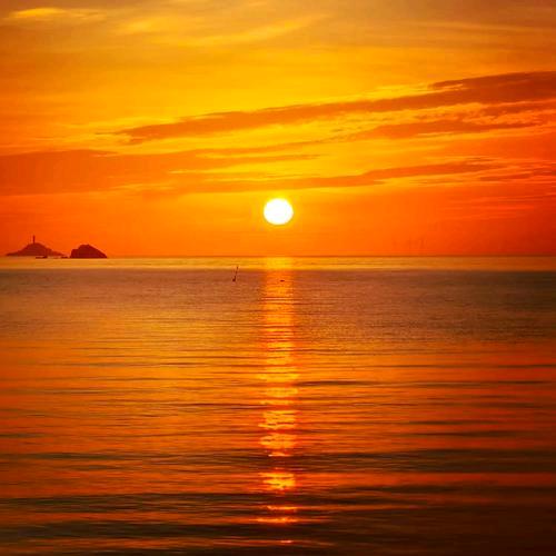 🇨🇳🇨🇳战狼🇨🇳🇨🇳