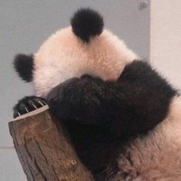 今天是个挣钱的好天气呜啦啦