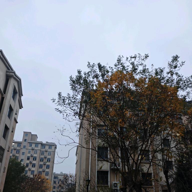 李咘离谱