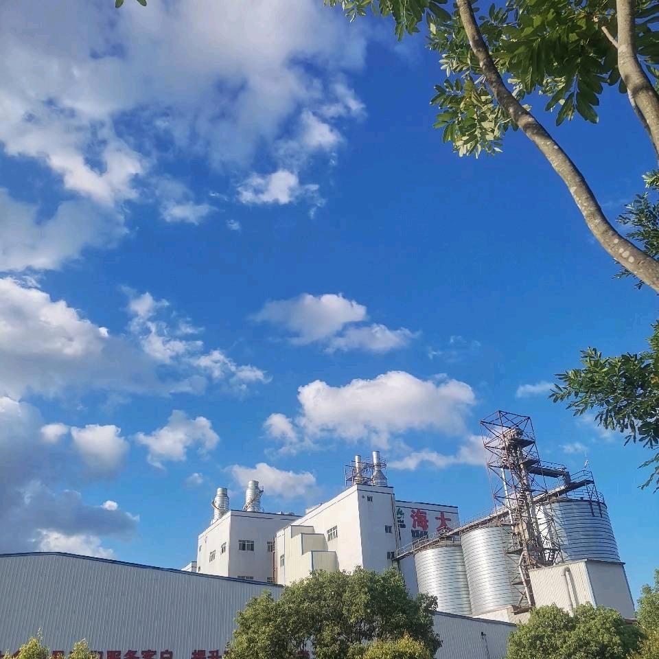 平哥