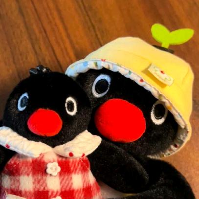 clover三叶草🍀(´◊ω◊｀)