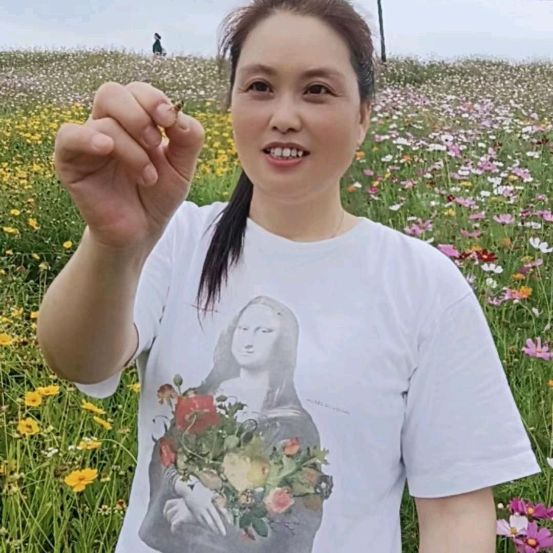 云清欢