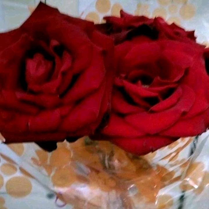 🌹青春常在 🌹