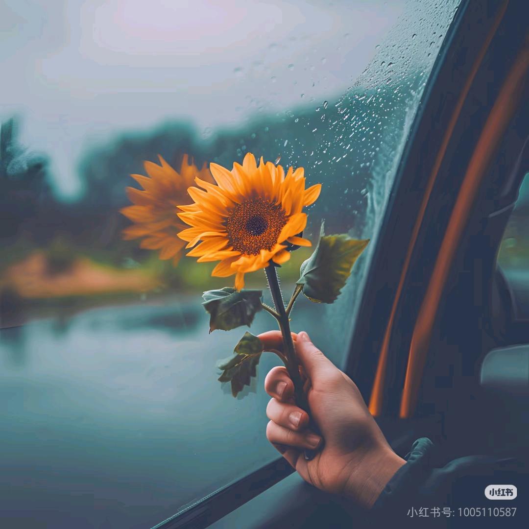 小小芽