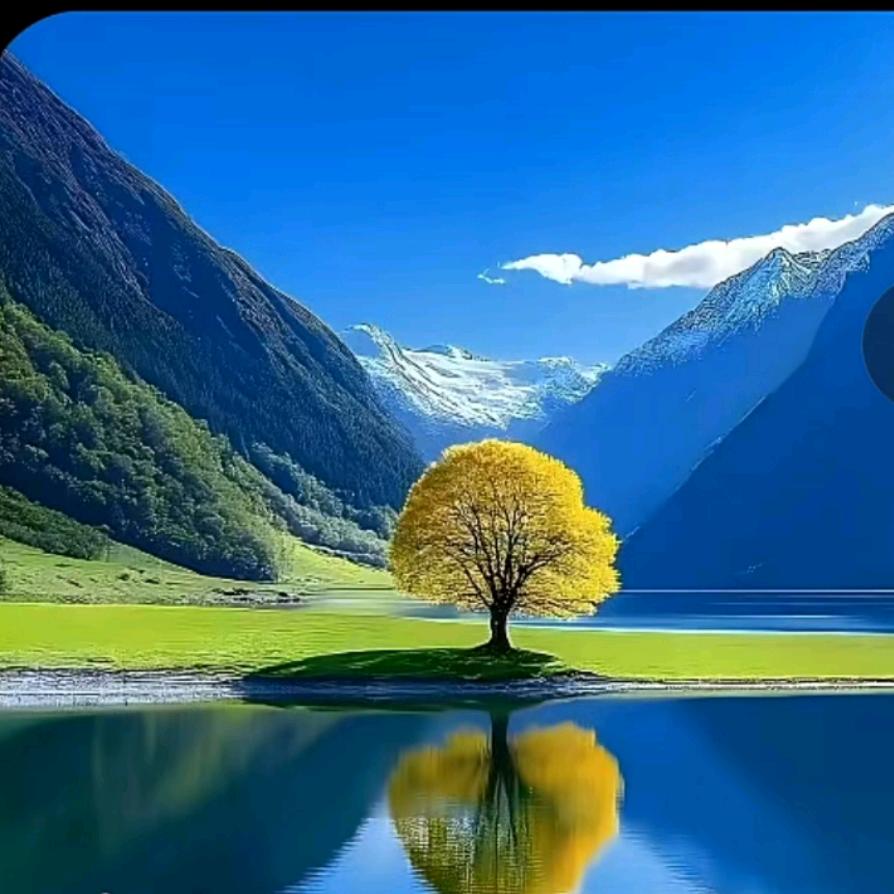 风景
