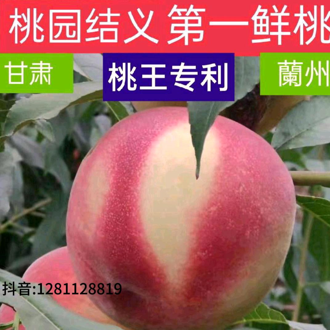 @兰州滴⭐姑舅守护