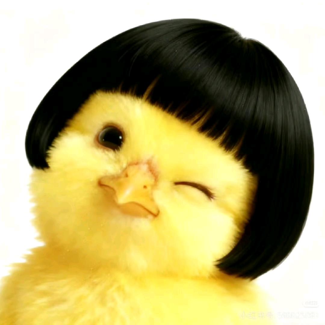 ✨用户名12138✨