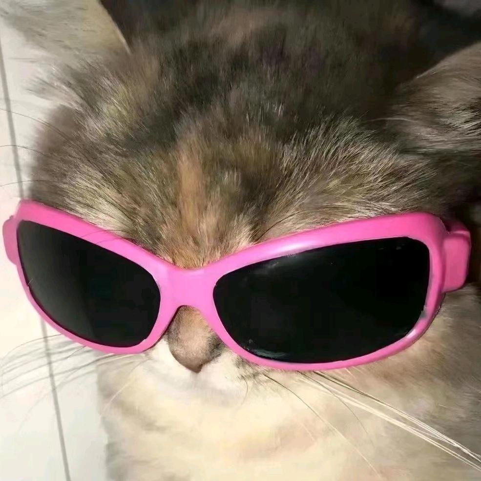 泡面头的日常生活