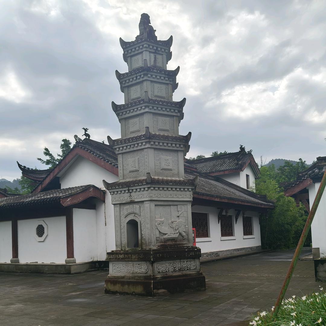 CES(会成功)