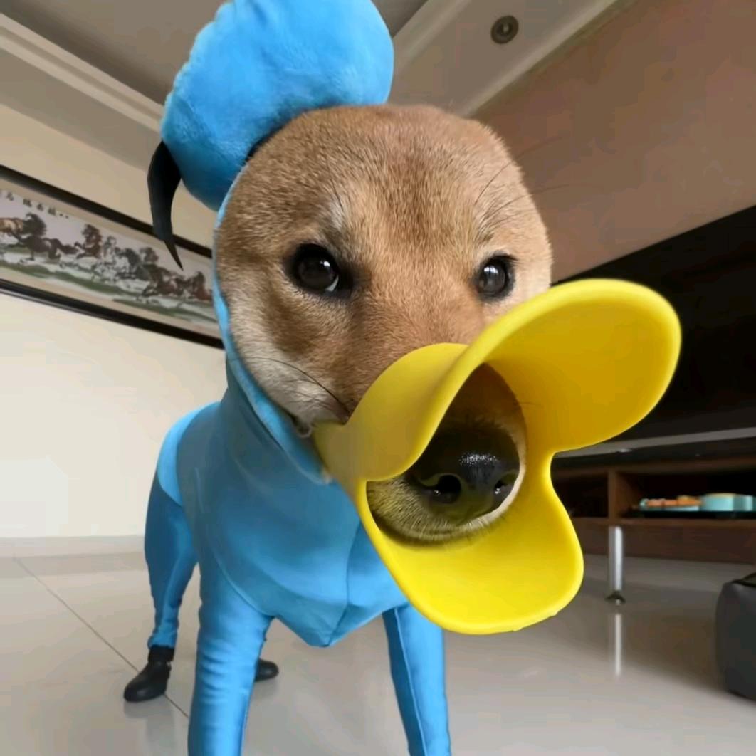 宸