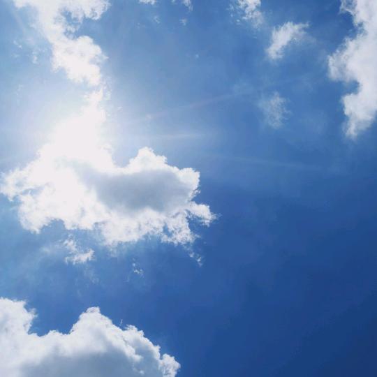 茜茜要努力哦！加油！