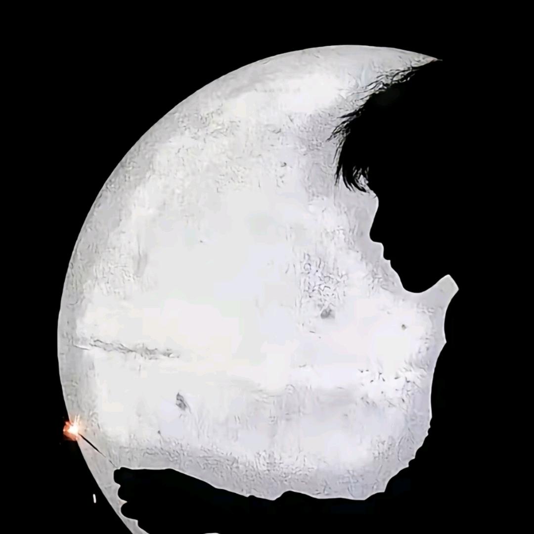 爱上一只鱼.
