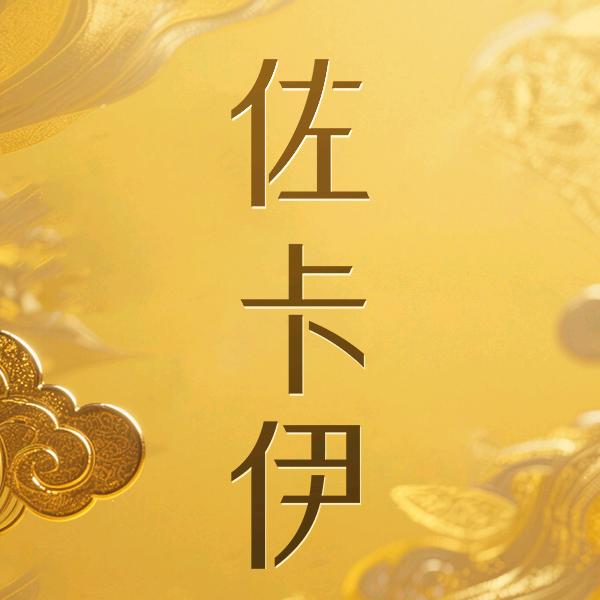 ZOCAI佐卡伊投资金专卖店