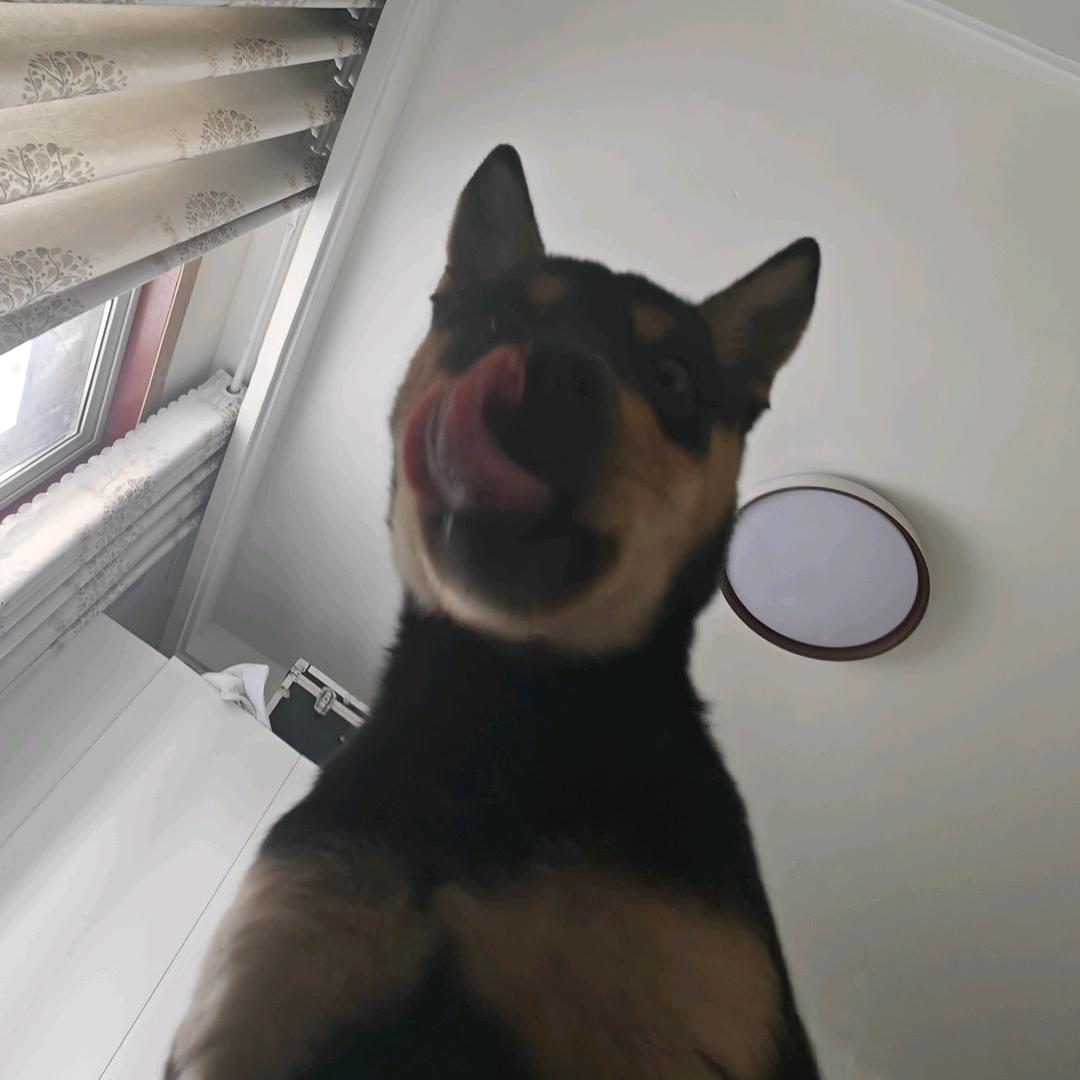 白日梦